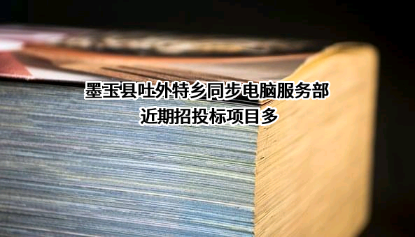 墨玉县吐外特乡同步电脑服务部近期招投标项目多