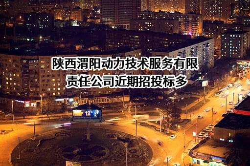 陕西渭阳动力技术服务有限责任公司