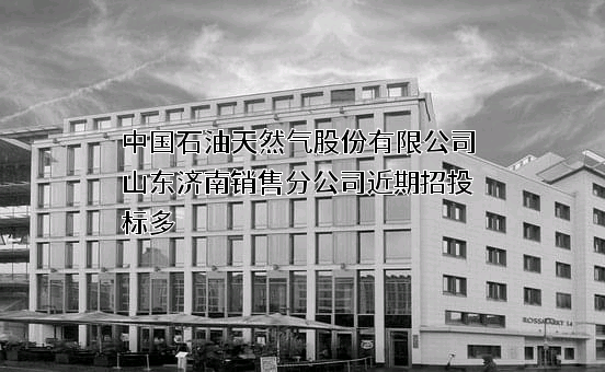 中国石油天然气股份有限公司山东济南销售分公司