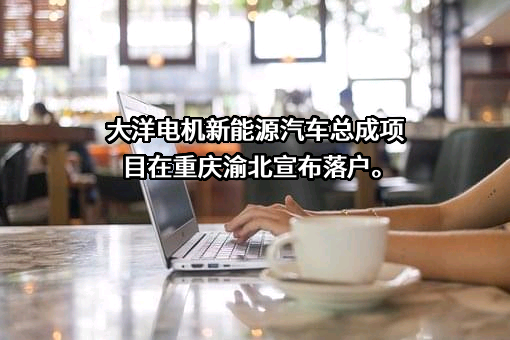 中山大洋电机股份有限公司