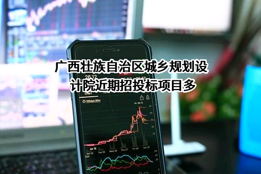 广西壮族自治区城乡规划设计院