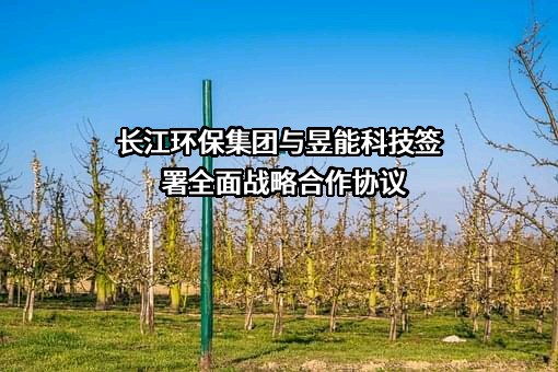 长江生态环保集团有限公司