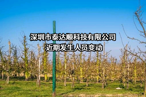 深圳市泰达顺科技有限公司