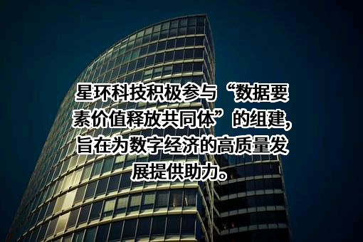 星环信息科技（上海）股份有限公司