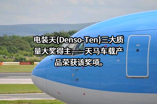 天马微电子股份有限公司