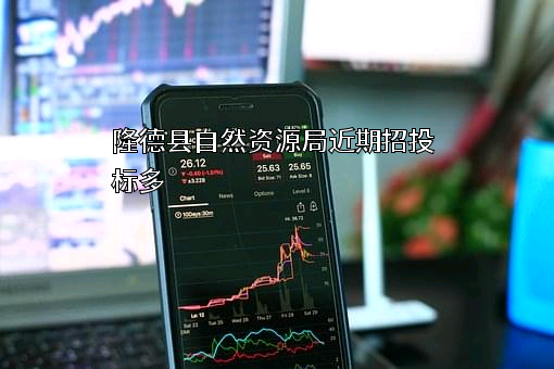 隆德县自然资源局