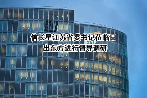 日出东方控股股份有限公司