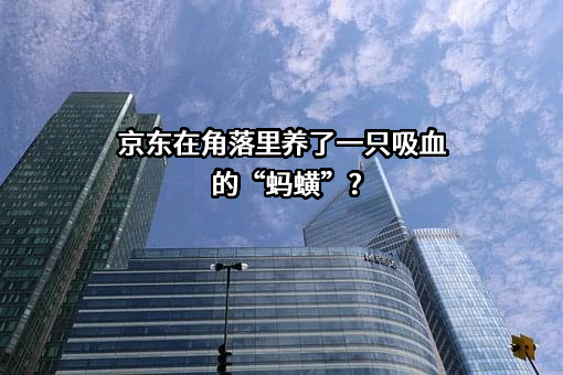 北京京东叁佰陆拾度电子商务有限公司
