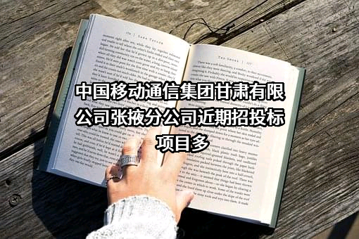 中国移动通信集团甘肃有限公司张掖分公司