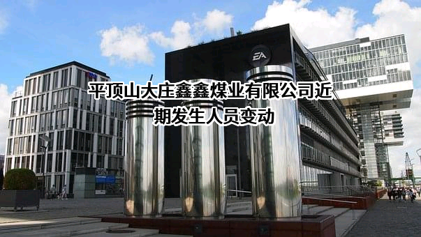 平顶山大庄鑫鑫煤业有限公司