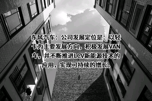 东风汽车股份有限公司