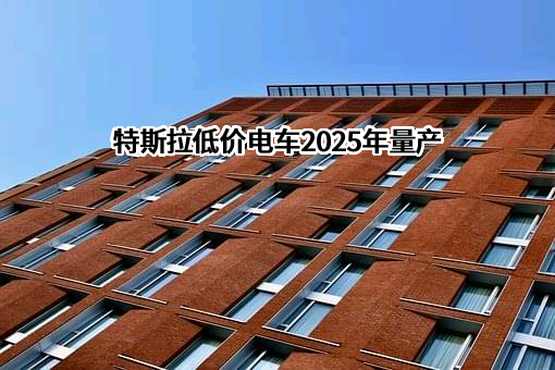 特斯拉（上海）有限公司