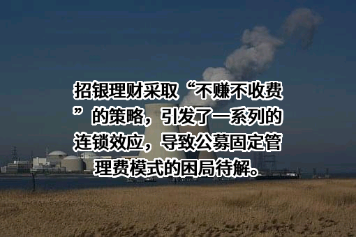 招银理财有限责任公司