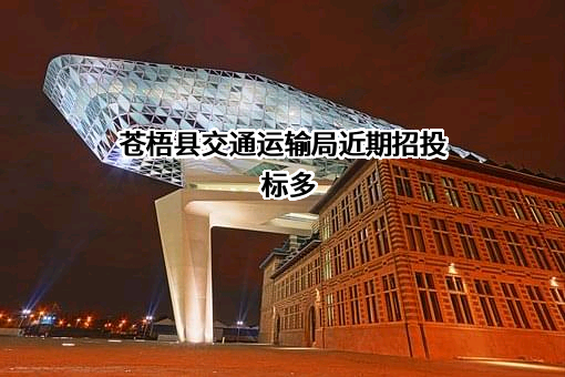 苍梧县交通运输局近期招投标项目多