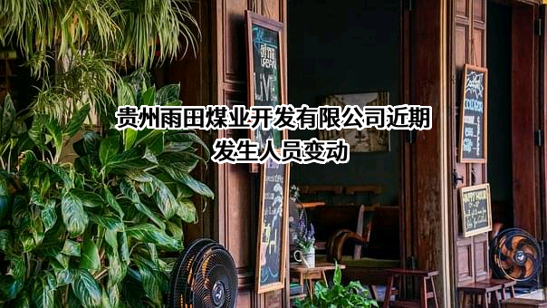 贵州雨田煤业开发有限公司