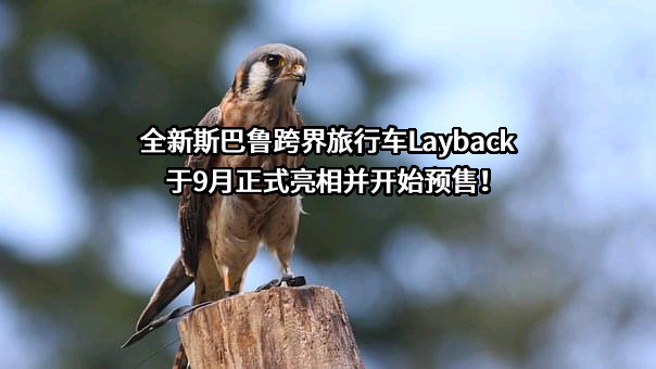 斯巴鲁汽车（中国）有限公司