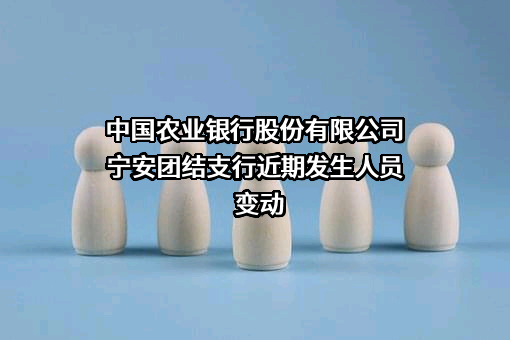 中国农业银行股份有限公司宁安团结支行