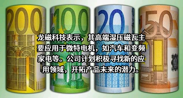 安徽龙磁科技股份有限公司