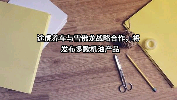 雪佛龙（中国）投资有限公司