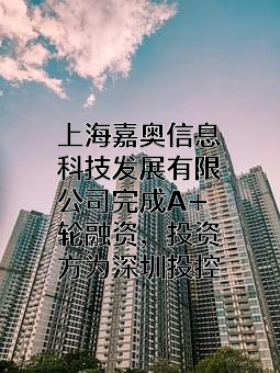 上海嘉奥信息科技发展有限公司