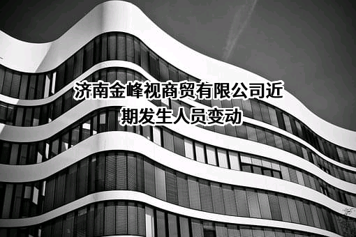 济南金峰视商贸有限公司