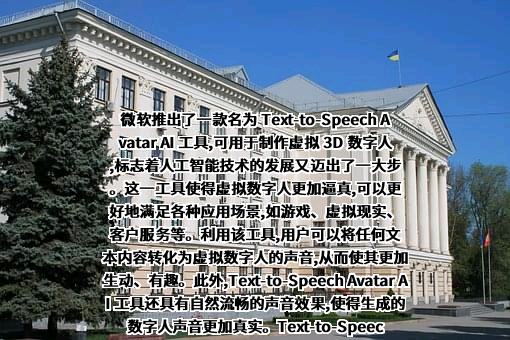 微软（中国）有限公司