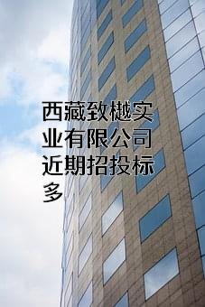 西藏致樾实业有限公司