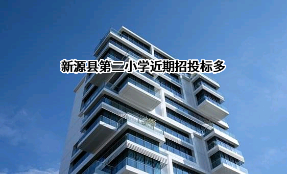 新源县第二小学