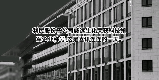利民控股集团股份有限公司