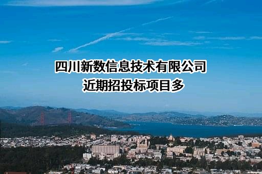 四川新数信息技术有限公司近期招投标项目多