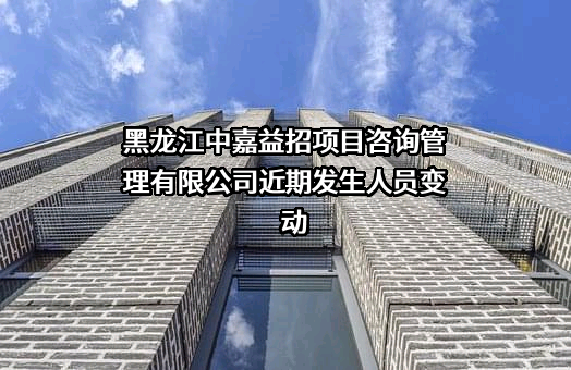 黑龙江中嘉益招项目咨询管理有限公司