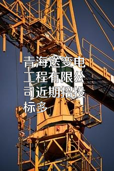 青海送变电工程有限公司