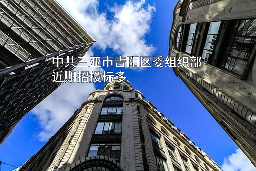 中共三亚市吉阳区委组织部