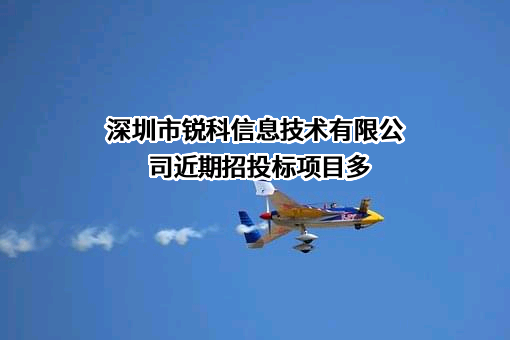 深圳市锐科信息技术有限公司