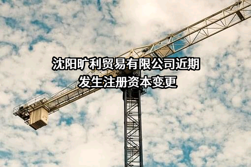 沈阳旷利贸易有限公司
