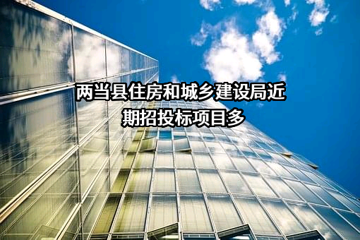 两当县住房和城乡建设局近期招投标项目多