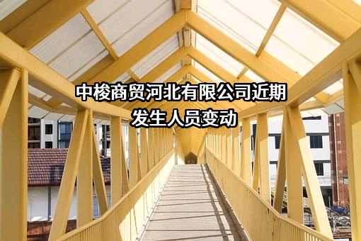 中梭商贸河北有限公司