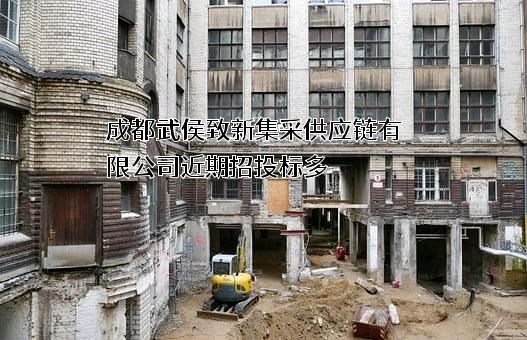 成都武侯致新集采供应链有限公司