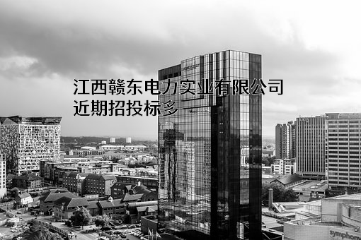 江西赣东电力实业有限公司