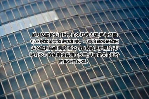 欣旺达电子股份有限公司