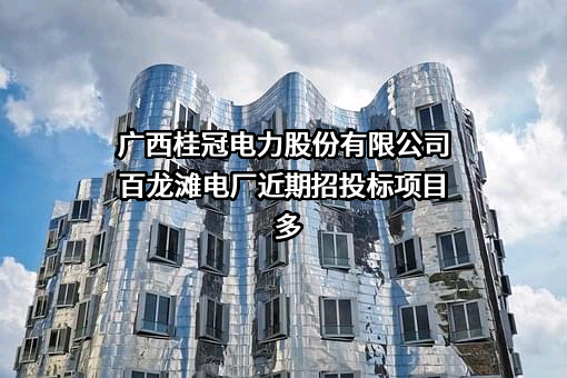 广西桂冠电力股份有限公司百龙滩电厂