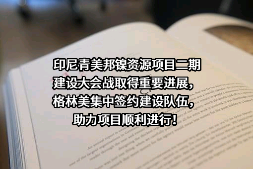 格林美股份有限公司