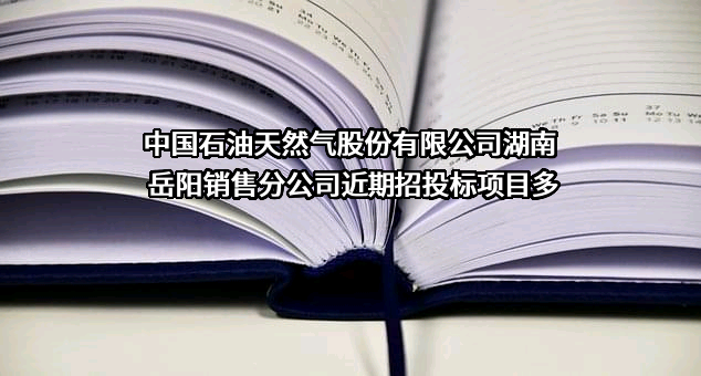 中国石油天然气股份有限公司湖南岳阳销售分公司