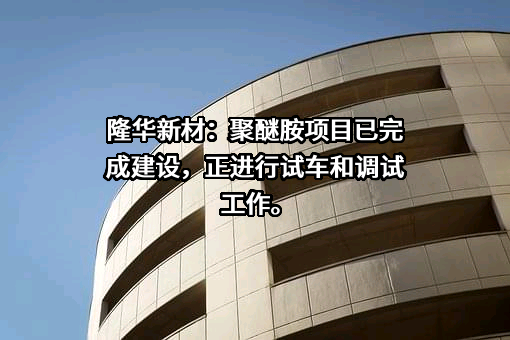 山东隆华新材料股份有限公司
