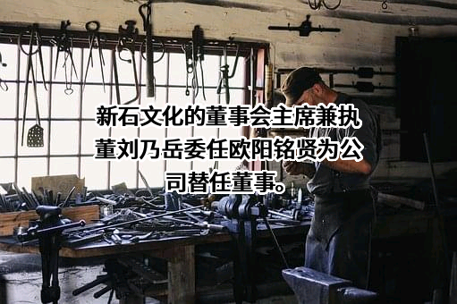浙江新石文化传媒有限公司