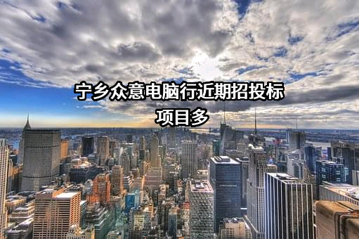 宁乡众意电脑行