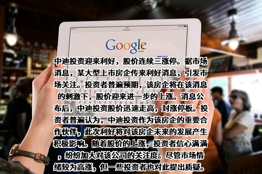 北京中迪投资股份有限公司