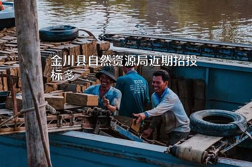 金川县自然资源局