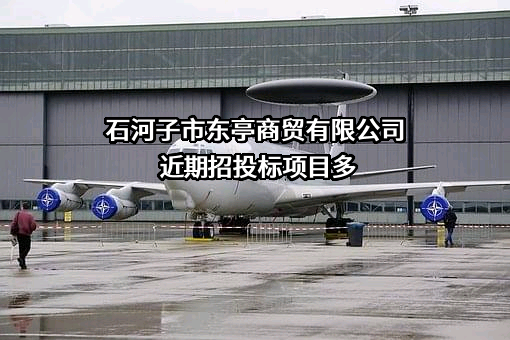 石河子市东亭商贸有限公司