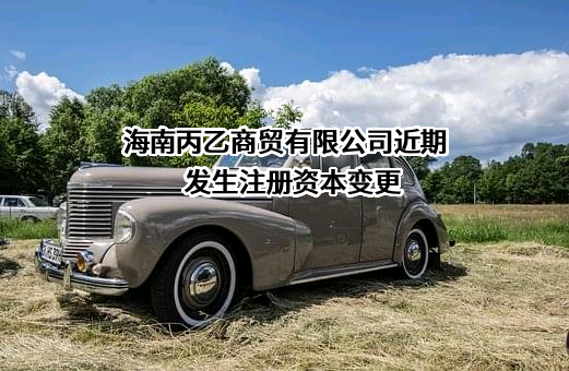 海南丙乙商贸有限公司